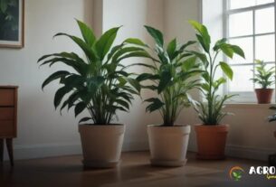 Planta na Sala Amarelando? Veja Como Corrigir com Nutrição e Solo Adequados