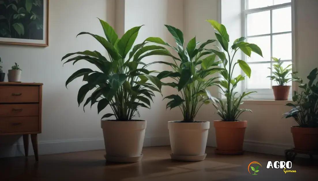 Planta na Sala Amarelando? Veja Como Corrigir com Nutrição e Solo Adequados