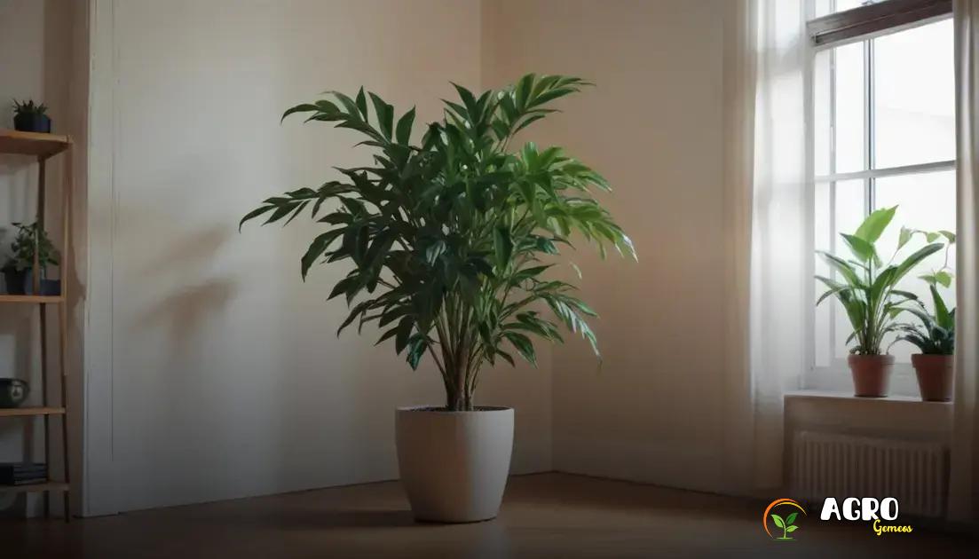 Melhores plantas para ambientes com pouca luz Melhores plantas para ambientes com pouca luz
