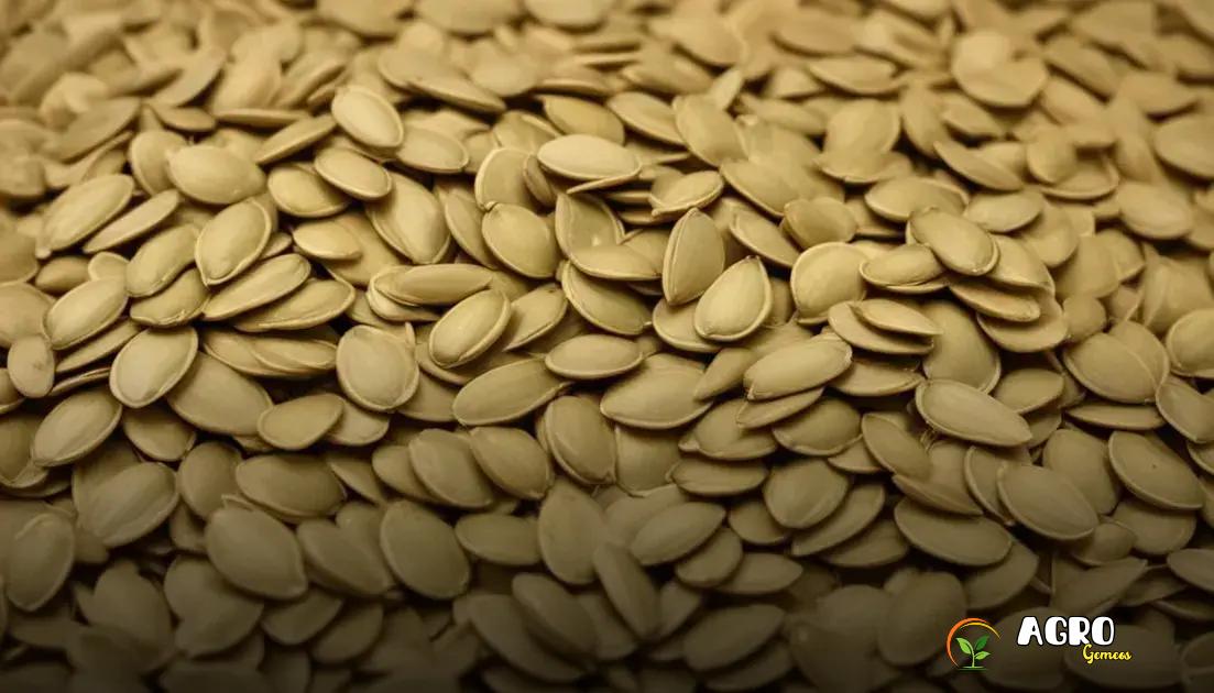 Benefícios das Sementes de Abóbora para a Agroecologia.