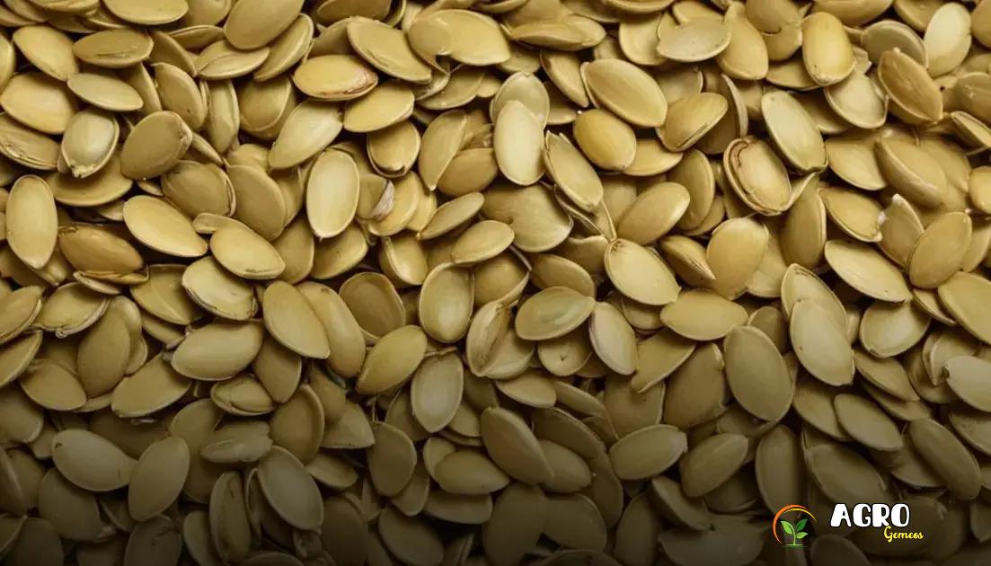 Possíveis contraindicações das sementes de abóbora Possíveis contraindicações das sementes de abóbora