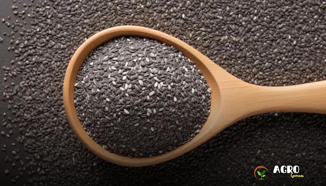 Sementes de Chia: Guia Completo de Cultivo e Manejo no Campo