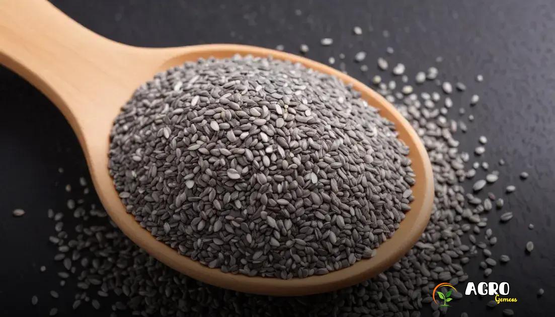 Benefícios nutricionais das sementes de chia