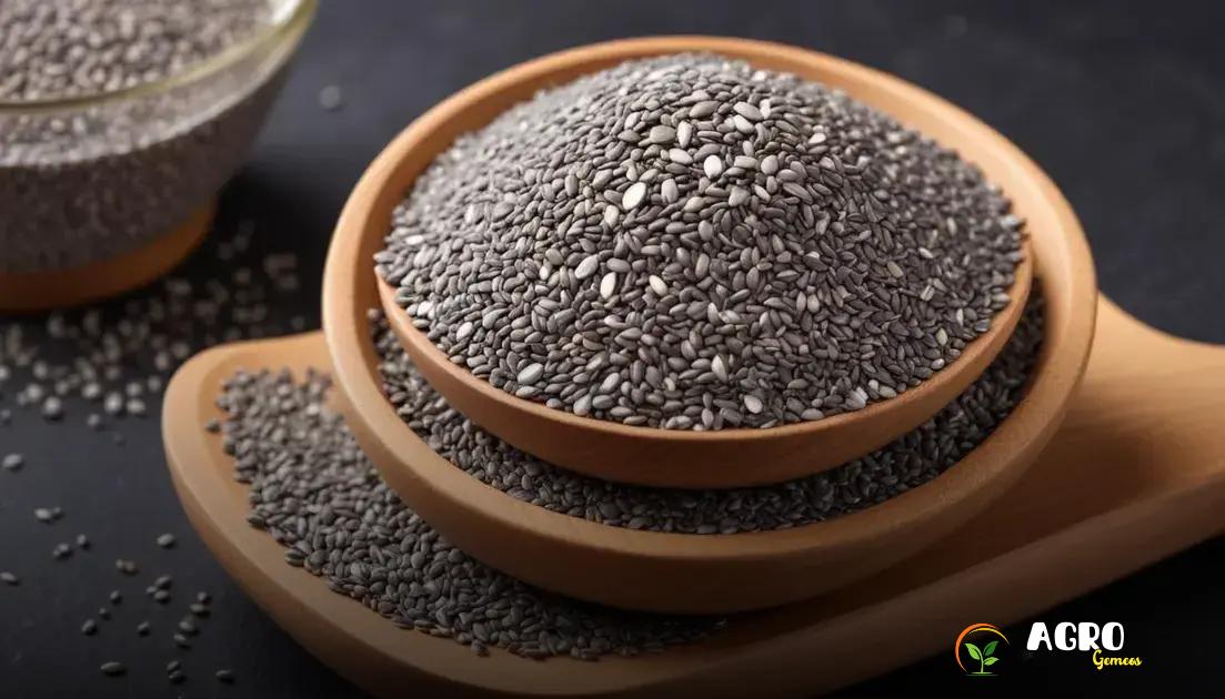 Receitas fáceis com sementes de chia