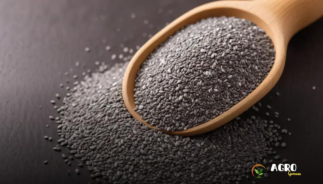 Desmistificando mitos sobre sementes de chia