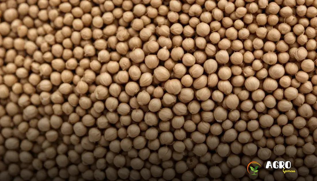 Receitas deliciosas com coentro