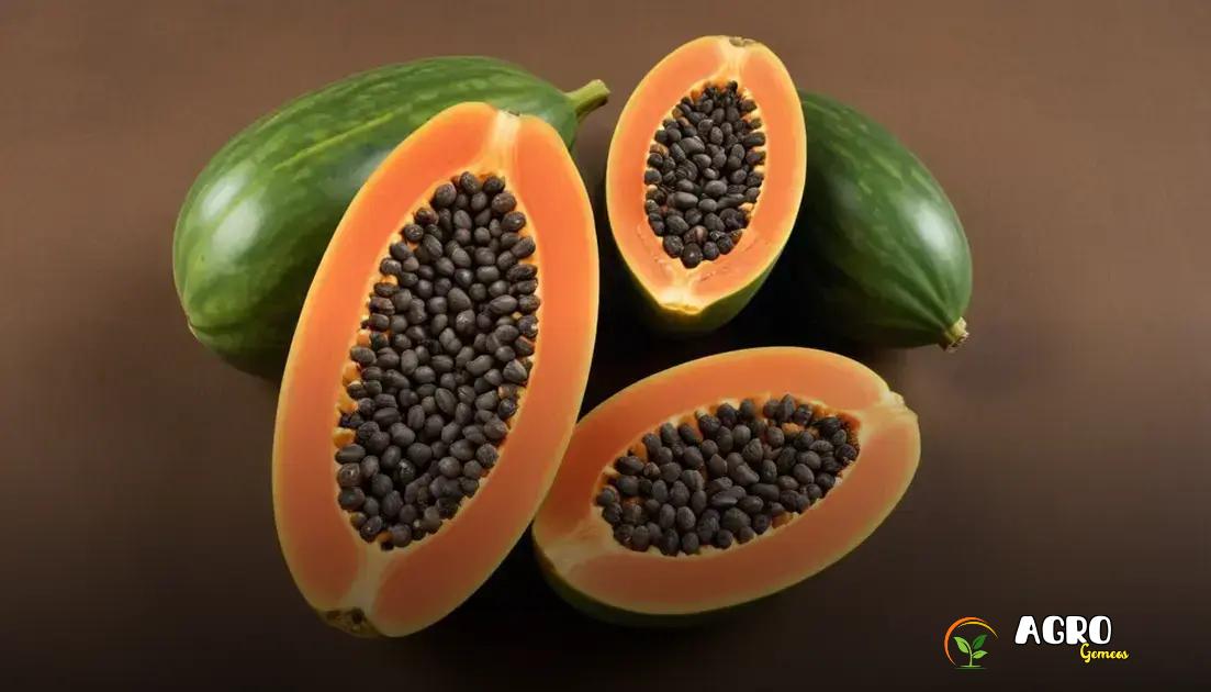 Sementes de Mamão e Suas Variedades: Qual a Melhor para Sua Região?