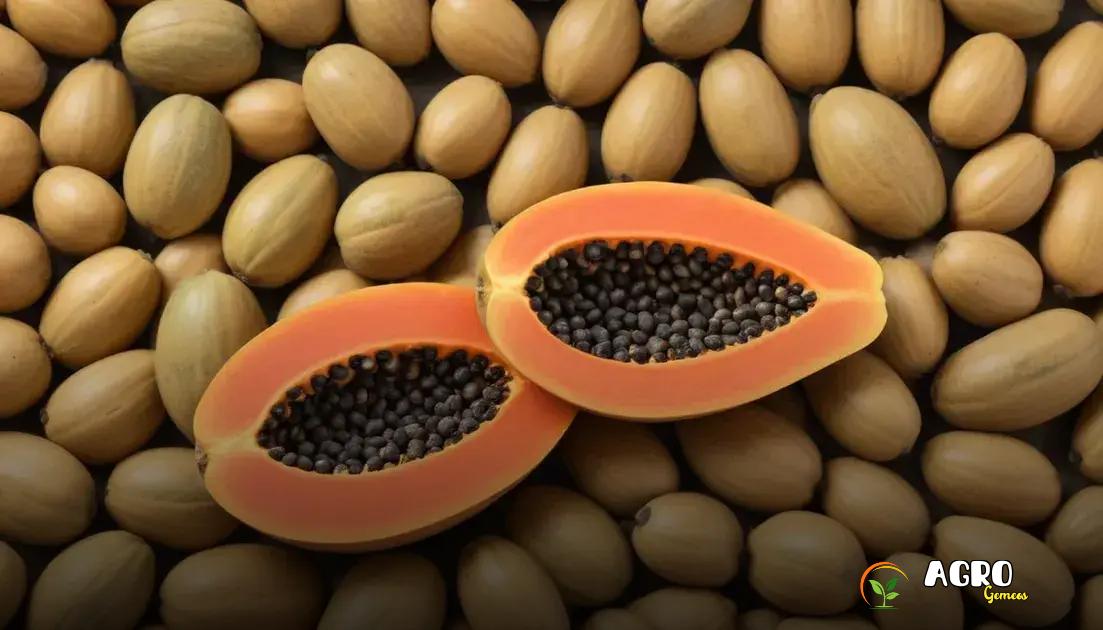 Como preparar o solo ideal para o plantio