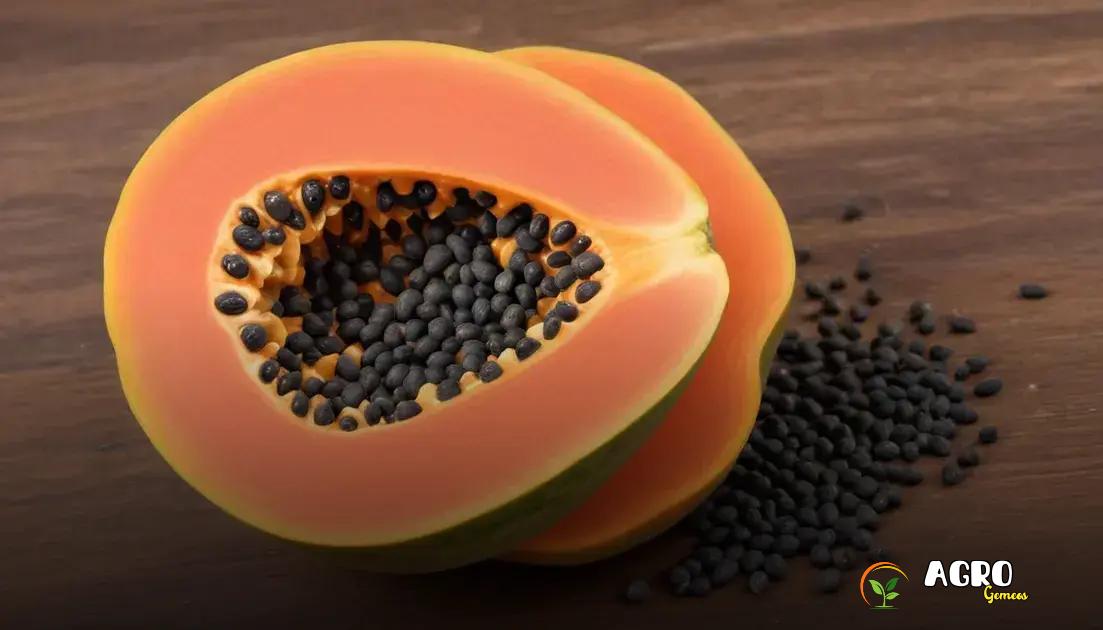 Cuidados essenciais durante o crescimento da planta