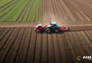 Manejo Sustentável do Solo em Sistemas de Agricultura Intensiva