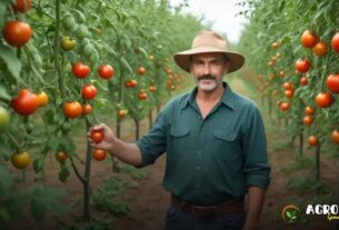 como cultivar hortaliças em casa?