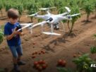Drones, Sensores e IA: As Ferramentas da Agricultura Moderna em 2025