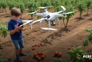 Drones, Sensores e IA: As Ferramentas da Agricultura Moderna em 2025