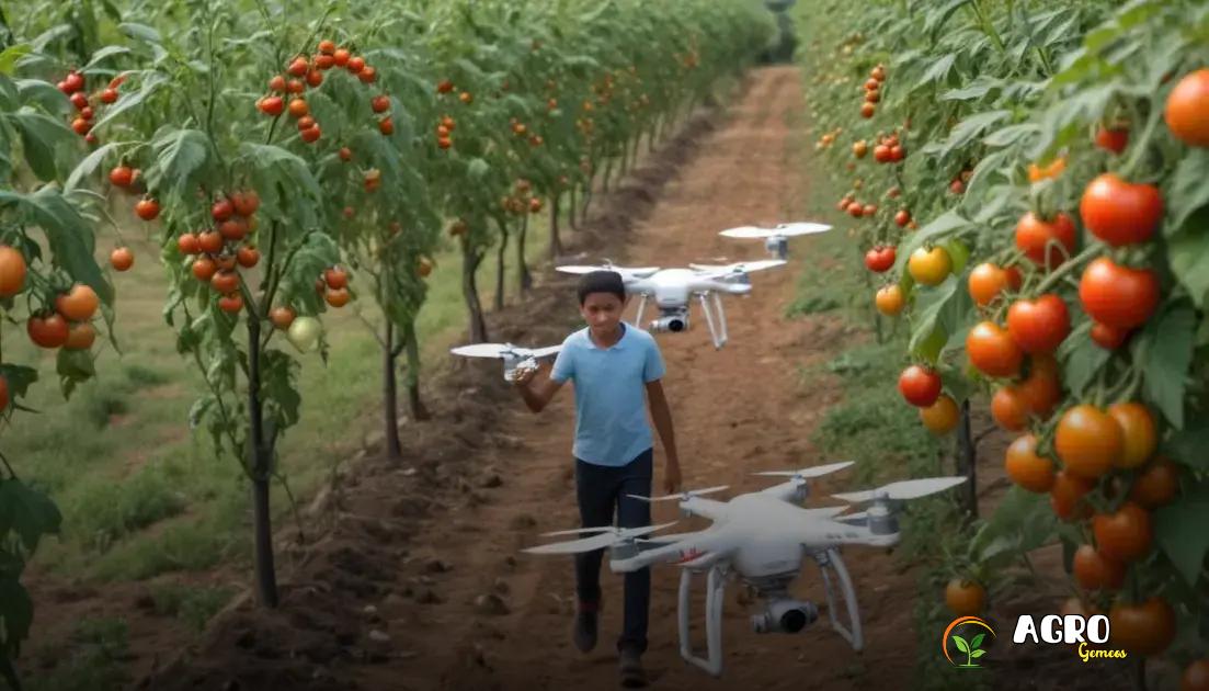 Como implementar tecnologias na sua propriedade