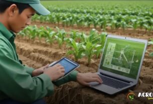Como a Tecnologia Está Revolucionando os Agronegócios no Brasil