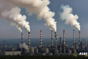 Como a Bioenergia Revoluciona a Agricultura Sustentável?