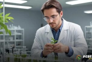 Como a nanotecnologia melhora as lavouras