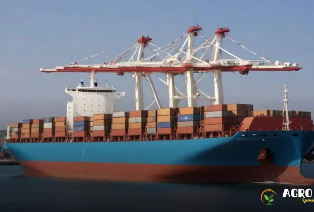 Como o Brasil lidera na exportação de grãos?