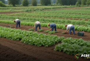 O futuro das fazendas de alimentos no Brasil
