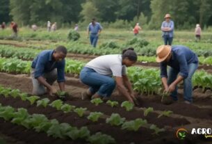 Tecnologias para a Agricultura Regenerativa